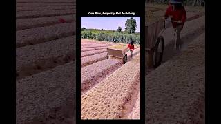 Work Smarter, Not Harder: Genius Farming Hack