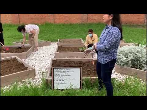 Gardening at Little Marvels Montessori