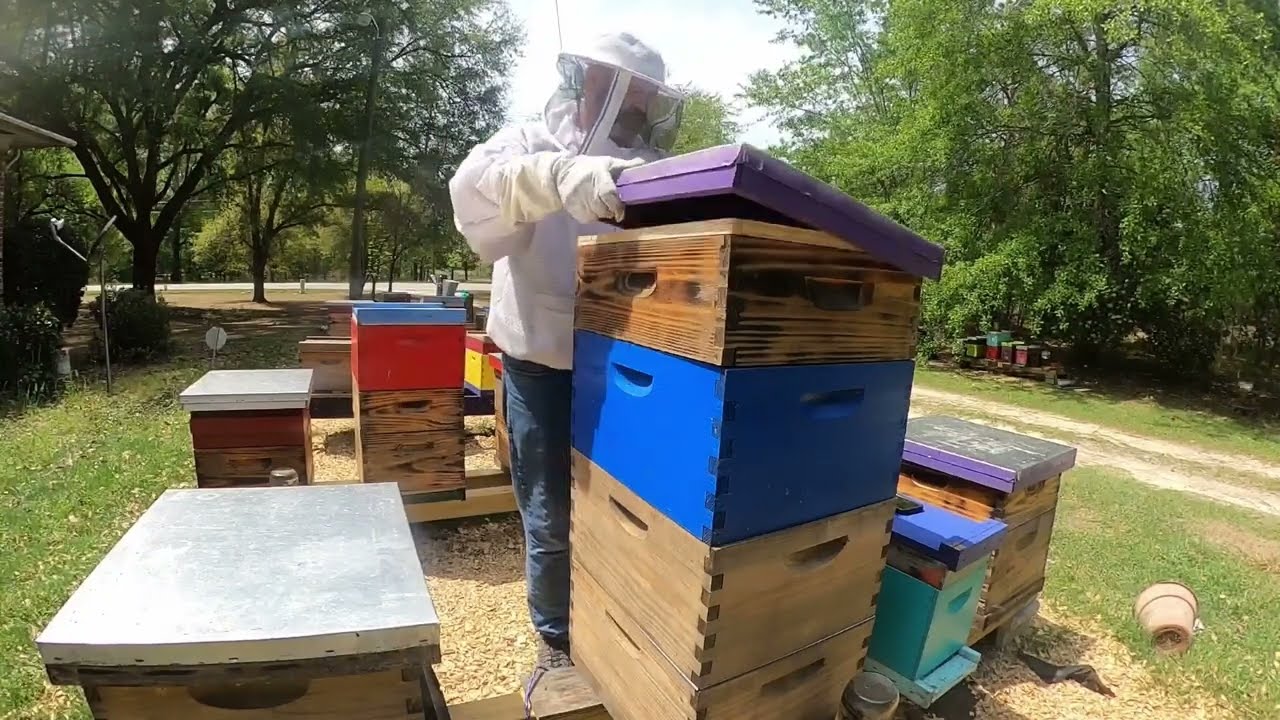 Demarre 28 day inspection