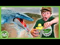 Secret Message in a Bottle &amp; GIANT Aquatic DINOSAURS! | T-Rex Ranch Dinosaur Videos for Kids