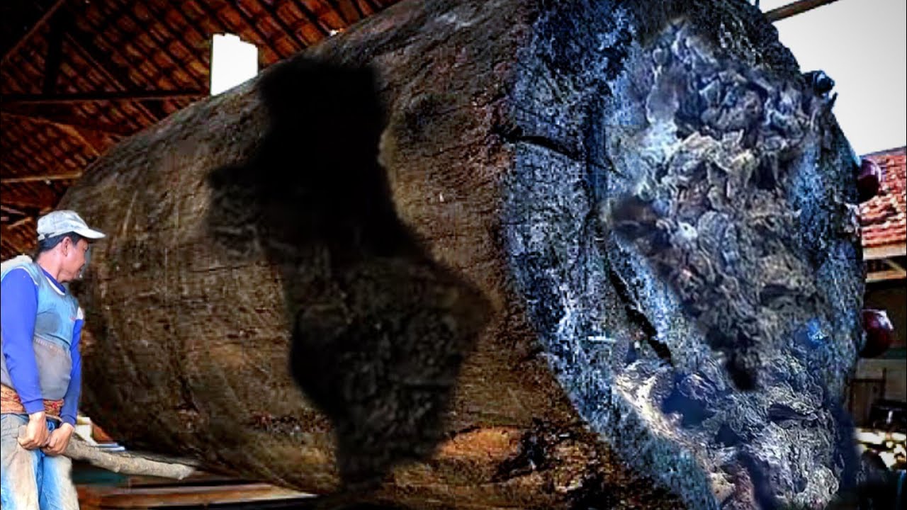 190 seconds before disaster damaged wood at the sawmill occurred - YouTube