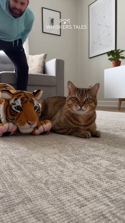 Cat’s HILARIOUS Reaction to Fake Tiger Toy! 😂🐱 #cat #shorts #shortvideo #shortsfeed #funny