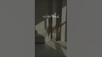 القران الكريم |قال لا تخافا | تلاوة خاشعة جميلة جدا 🫀🤍 | حالات واتس اب