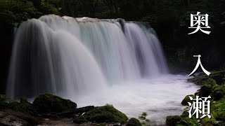 【奥入瀬渓流】青森の大自然を散策してきました。