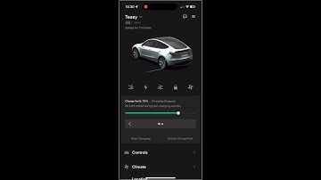 Tesla 5th icon App Easter Egg hidden feature - Model Y, Model S, Model X, Model 3 and Cyber Truck