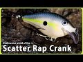 Underwater world of the Scatter Rap Crank / Rapala スキャッターラップクランクの水中映像とスペック