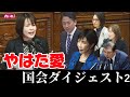 #やはた愛 国会ダイジェスト!まだまだ言い足りない!もう一度国会へ#東大阪 からあなたの一票を❤️