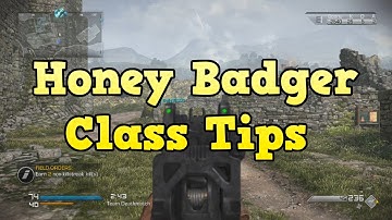 COD Ghosts - Honey Badger Class Setup Tips (Best Honeybadger Class)