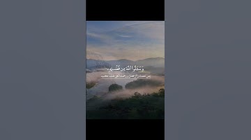 #سوره_نساء، آیه ۳۲🌿گوینده: #بهروز_رضوی🌿 مترجم: #مسعود_ریاعی🌿 منبع: Instagram: @esharat_ir