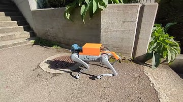Robust RL-Based Locomotion for Resource-Constrained Quadrupeds with Exteroceptive Sensing