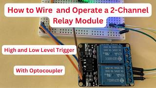 How to Wire  and Operate a 2-Channel Relay Module HW-383A
