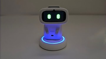 Aibi Pocket Pet More Features!