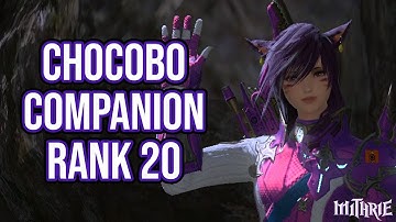 FFXIV 3.4 0983 Chocobo Companion Rank 20