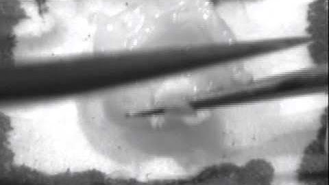 Mouse Brain Dissection - Isolation of the hippocampus