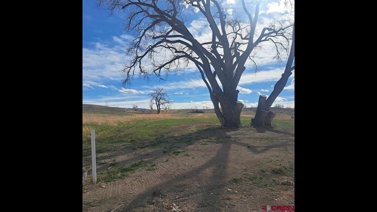 3802 Aspen Grove Ln | Montrose Real Estate