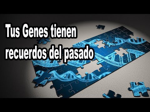 Vídeo: Memoria Genética Y Mdash; Vista Alternativa