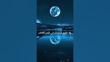 سورة الرحمن بصوت القارئ محمد مصطفى