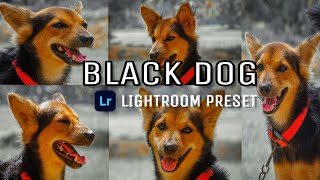 How to edit animal photos | animal photo editing in lightroom | wildlife presets lightroom & picsart screenshot 5