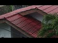 Fall Asleep in 5 Minutes 😴 Soft Rainy Morning Sounds for Deep Sleep &amp; Relaxation
