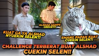 CHALLENGE ALSHAD CUEKIN SELEN ! TAPI SELEN MALAH SEPERTI INI REAKSINYA ! HARIMAU JAUH LEBIH CUEK ?!