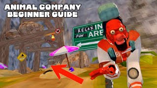 Animal Company BEGINNER Guide! (Animal Company VR)