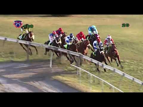 Hippisme - 10e journée (8e course) : Skip The Red [S.Bussunt] se retrouve