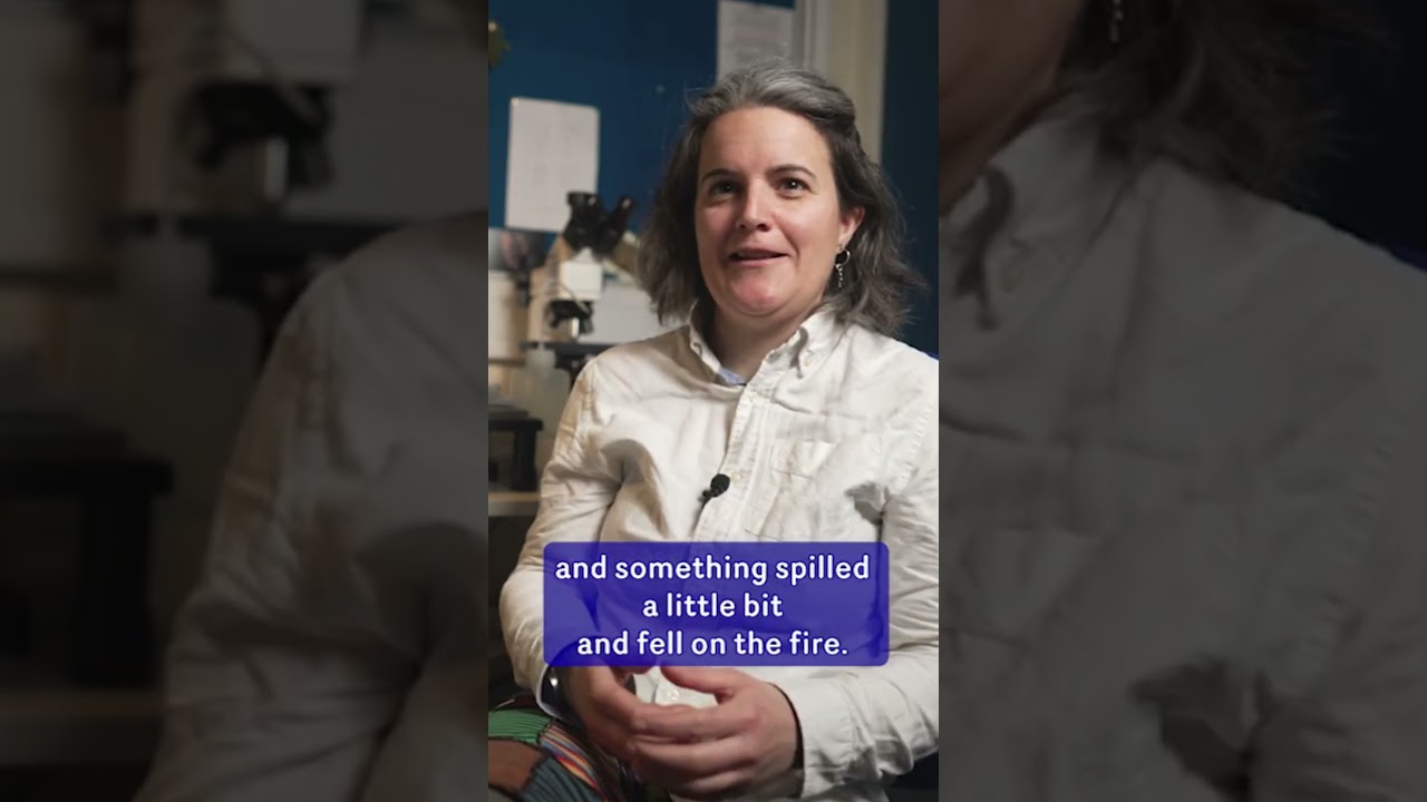 What exactly IS archaeobotany?  🌿 