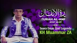 QORI INTERNASIONAL K.H MUAMMAR Z.A SURAH AL ANFAL #khmuamarza #tilawatequran #tilawat