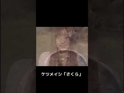 ケツメイシ「さくら」と櫻坂46「桜月」 #shorts