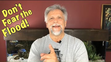 Aquarium Filtration - SUMP TIPS & TRICKS to AVOID the FLOOD!