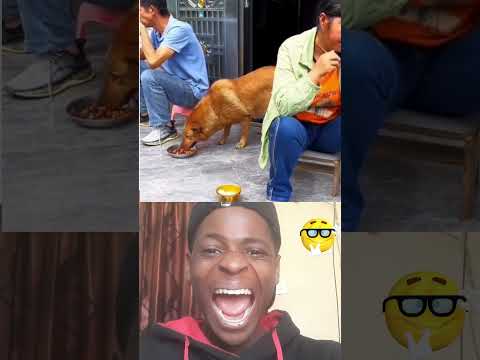 Funny moment😂 #comedyvideos #trylaughchallenge #funny #funnyshorts #shorts #dontlaught #indianlaughs