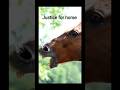 Justice for horse #ff #honda