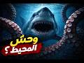 وحش المحيط الحقيقي أسرار القرش الأبيض اللي ما قالها حتى واحد