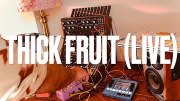 THICK FRUIT (LIVE) - Moog Sound Studio (DFAM, Mother 32, SubHarmonicon) w/ OP-Z & Chase Bliss MOOD