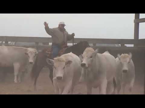 Farm Journal Report: Relentless Heat