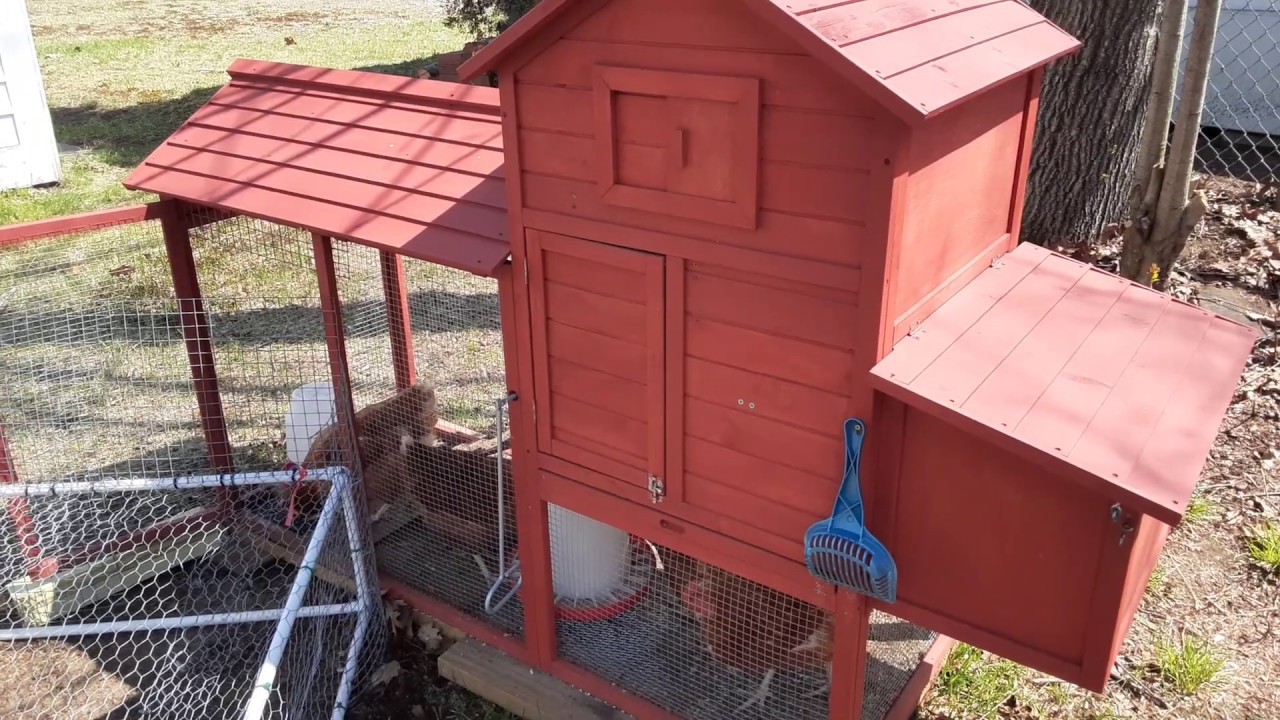 Best Choice Chicken Coop Review YouTube