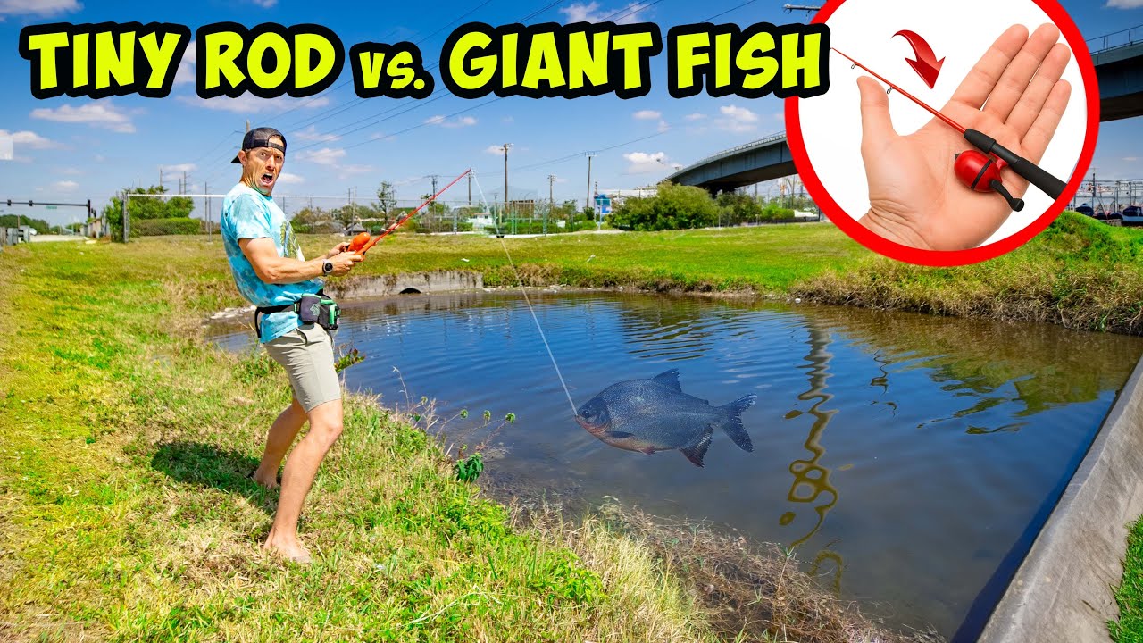 Worlds SMALLEST ROD vs. BIGGEST FISH  (ROADSIDE CHALLENGE)