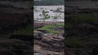 veja a cheia da cachoeira da ema 22/04/2026