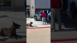 Django Loading Into A Truck