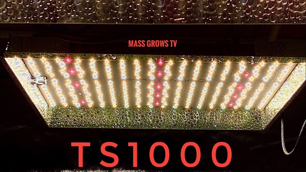Mars Hydro TS100 Grow