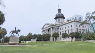 🔴 LIVE: SC Senate redistrcting hearing