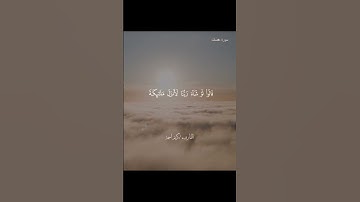 تلاوه خاشعه بصوت جميل من سورة |فُصلت 🌍💙 #voiceeffects #اكسبلور #الرحمن #المصحف