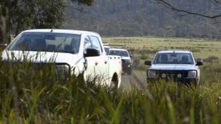 Tasmanian devils released at Bangor on the Forestier Peninsula, Tasmania