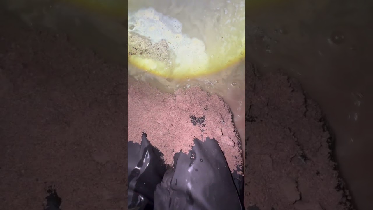 Waders in the Mud – Night in a Forest / Sand Pit Pond