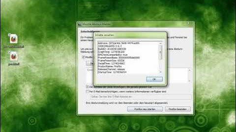 Web Browser Exploitation - Denial of Service Vulnerabilities