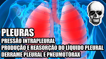 Quais são as pleuras?