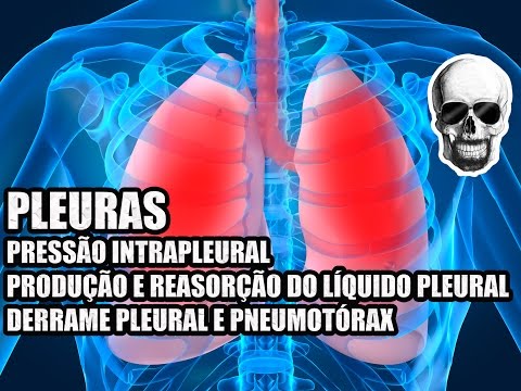 Vídeo Aula 141 - Anatomia Humana - Sistema Respiratório: Pleuras, Derrame Pleural e Pneumotórax