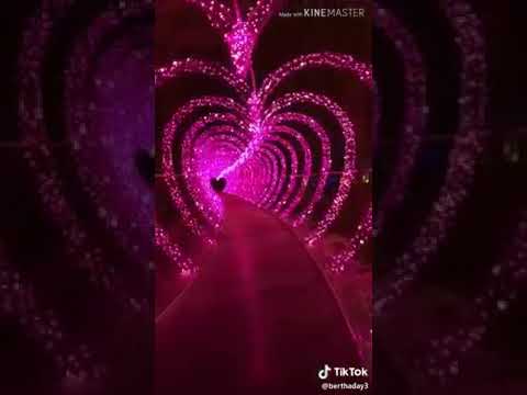 حالات وتس اب ويلي ياويلي شو عامل فيني انزل عل وصف مهم