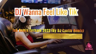 DJ Wanna Feel Like Tik Tok Remix Terbaru 2022 (By DJ Cantik Remix)