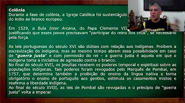 O que é política indigenista brasileira do século XIX?